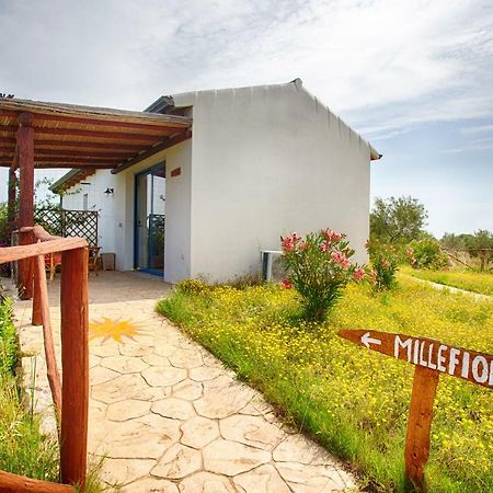 Вілла Agriturismo Mieleamaro Ольбія Екстер'єр фото